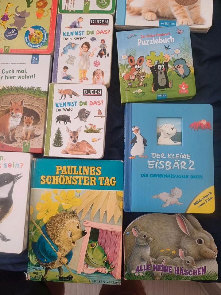 Unterschiedliche Kinderbücher in Güstrow