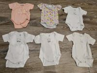 Baby Bodys / Größe 62 Nordrhein-Westfalen - Tecklenburg Vorschau