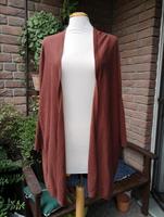 MNG Mango Strickjacke Rostbraun Nordrhein-Westfalen - Löhne Vorschau