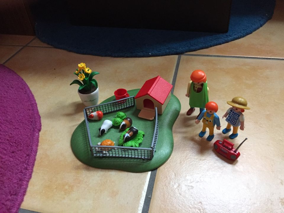 Playmobil verschiedene Sets in Cremlingen