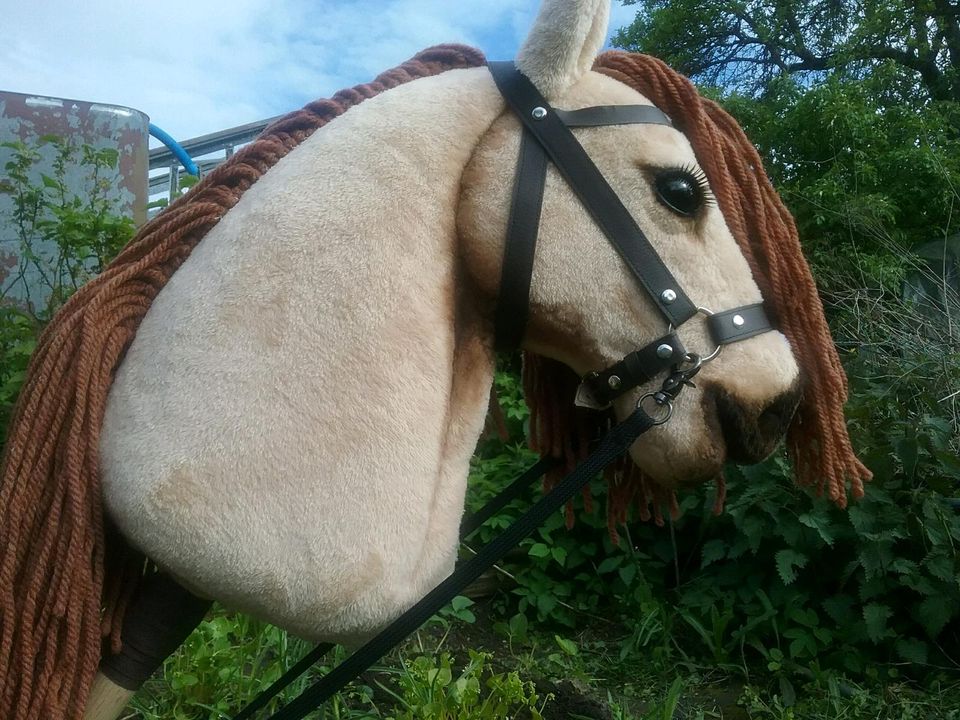 Hobby Horse realistisch, Hobbyhorse in Nentershausen