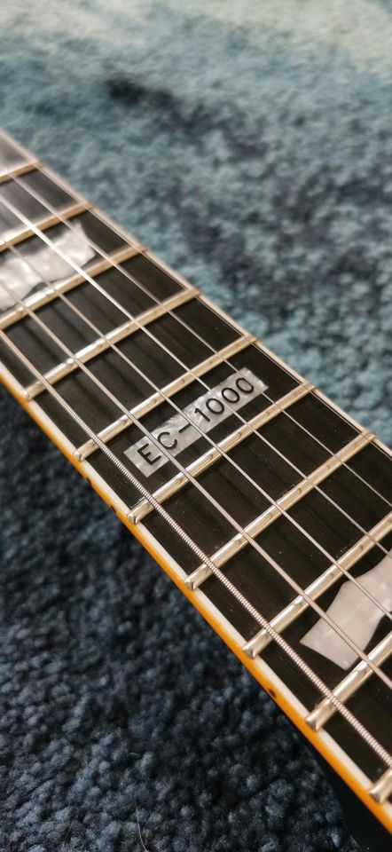 Esp Ltd EC-1000 in Lahntal