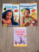 Bücher Schwangerschaft und Baby Sachsen - Großharthau-Seeligstadt Vorschau