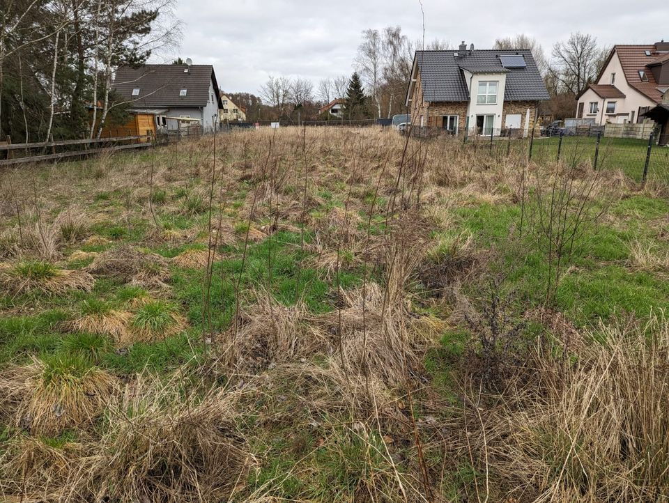 Großes Baugrundstück in Storkow zu verkaufen. in Storkow (Mark)