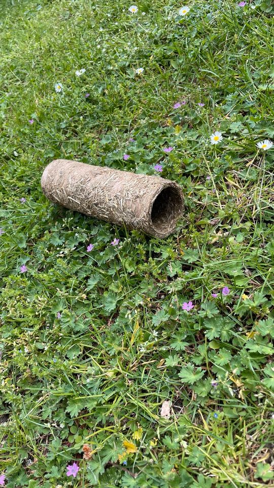 hochwertiger Hamsterkäfig inklusive Zubehör in Adendorf