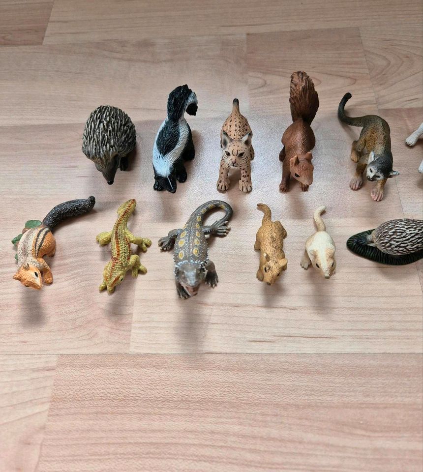 Schleich Figuren Wildlife in Hofgeismar