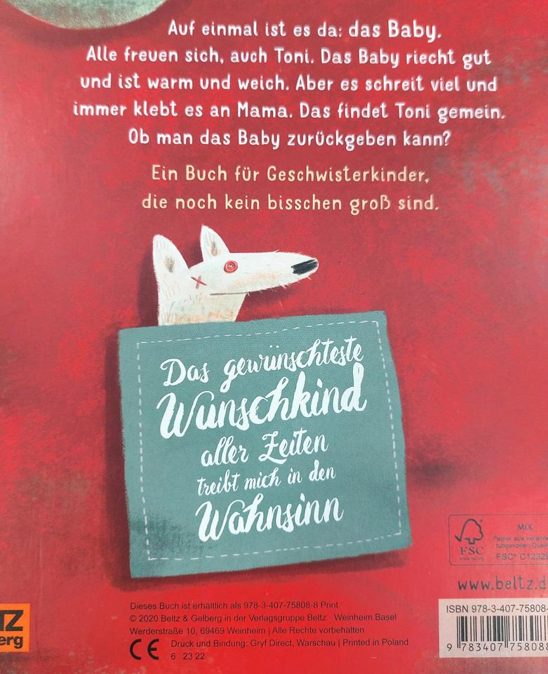 "Baby ist da!" – Einfühlsames Pappbilderbuch für werdende Geschwi in Dachau