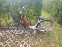 Damen Fahrrad  26zoll Nordrhein-Westfalen - Bottrop Vorschau