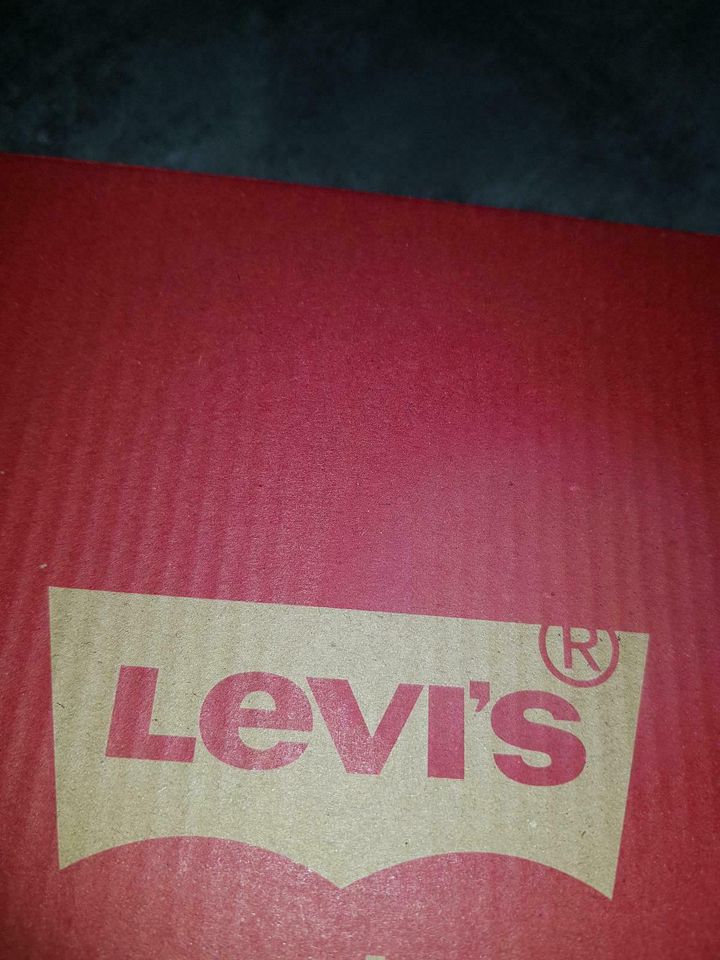 Levis  Boots  Schuhe in Nalbach