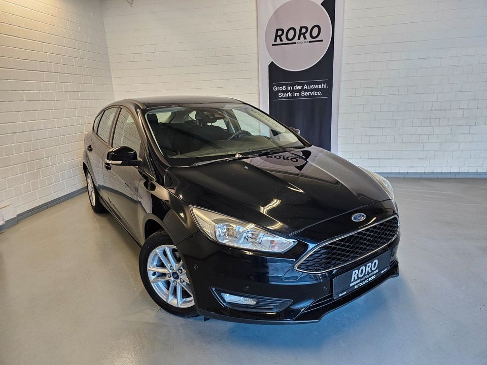 Ford Focus 1,6 Ti-VCT  SYNC Edition + TEMP/8-Reifen in Lippstadt