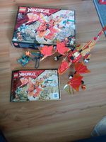 Lego Ninjago 71762 Kais Fire Dragon Evo Baden-Württemberg - Rheinfelden (Baden) Vorschau