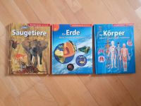 Buch Erlebnisswelt Wissen Säugetiere/ Erde/ Körper Niedersachsen - Diepholz Vorschau