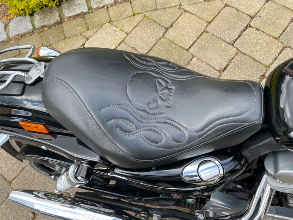 Harley Davidson Sportster 883 XL SuperLow in Arnsberg