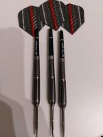 Raymond van Barneveld Gen 1 25 g Darts Niedersachsen - Bad Bevensen Vorschau