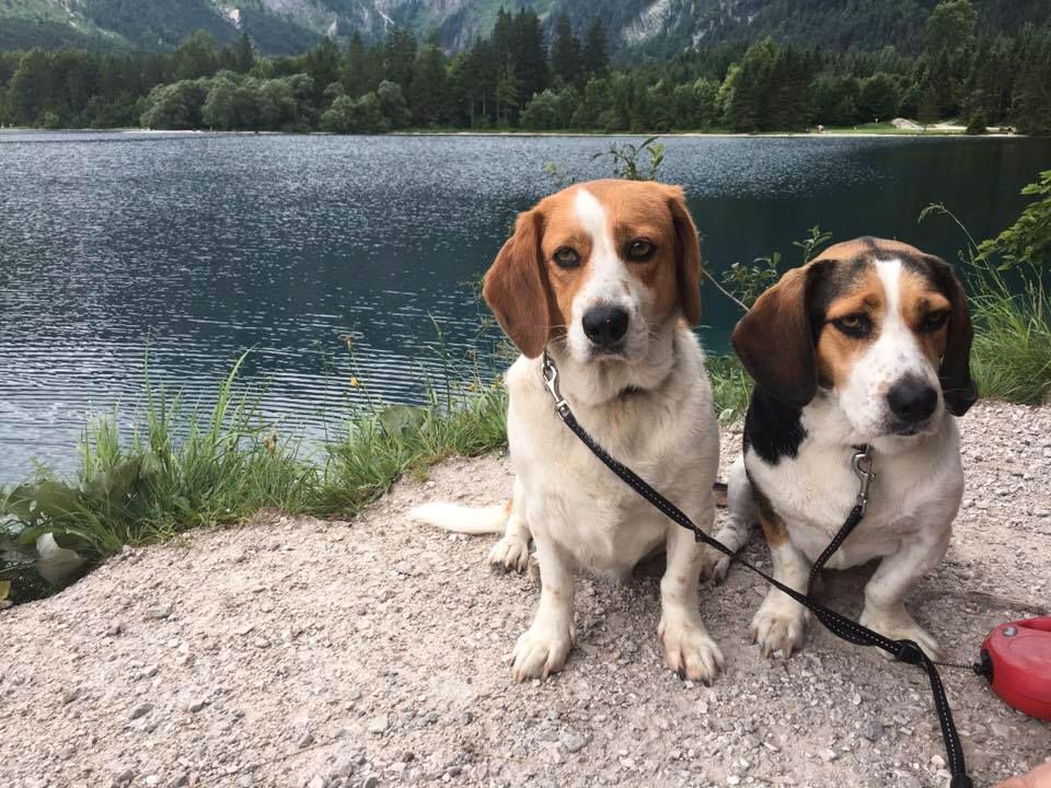 Fewo "Traunseeliebe" Whirlpool Österreich Mai 27.04.-04.05.24 in Neuhaus am Inn