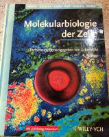 Molekularbiologie der Zelle 4. Auflage Niedersachsen - Leer (Ostfriesland) Vorschau