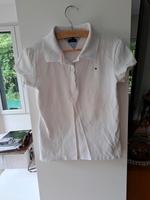 Polo Hilfiger Köln - Rodenkirchen Vorschau
