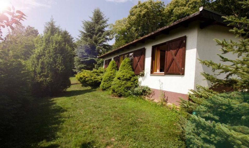 Ferienhaus Harz mitten im Wald 2 Pers. riesen Garten, POOL, Hunde in Sangerhausen