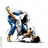 Brazilian Jiu-Jitsu (BJJ) Trainer Baden-Württemberg - Immenstaad Vorschau