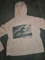 H&M Sweatshirt Hoodie dünn  Pferde 134-140 Top Rheinland-Pfalz - Pirmasens Vorschau