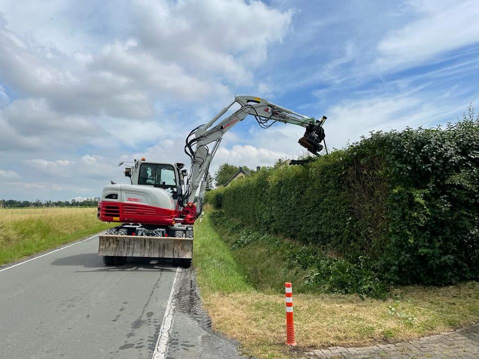 Baumfällung, Problembaumfällung, Rückschnitt, Mulcharbeiten in Lippetal