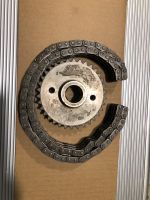 Harley Sportster 883 Buell XB 9 Primärantrieb Sprocket mit Kette Sachsen - Limbach-Oberfrohna Vorschau