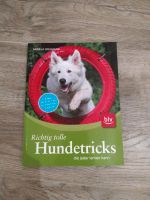 Richtig tolle Hundetricks: die jeder lernen kann Buch neuwertig Nordrhein-Westfalen - Remscheid Vorschau