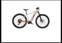 Advanced E Bike das Original Offroad Pro MTB 50 cm Nordrhein-Westfalen - Bad Driburg Vorschau