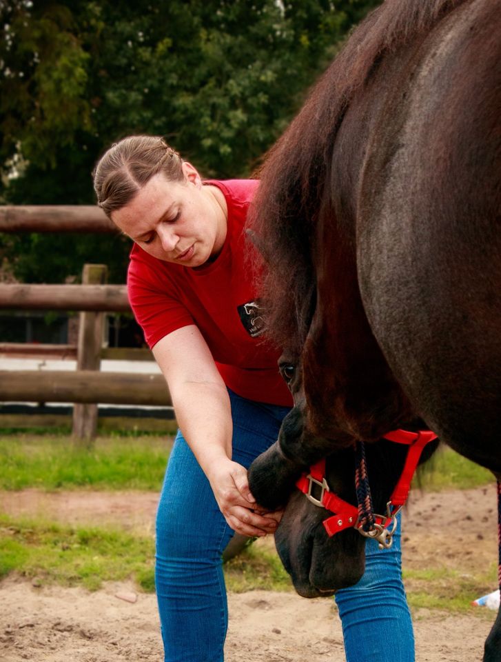 ERM® Effektive Rückenmobilisation für Pferde in Marl