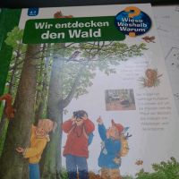 Wieso Weshalb Warum Kinderbuch,  wir entdecken den Wald Rheinland-Pfalz - Wallmerod Vorschau