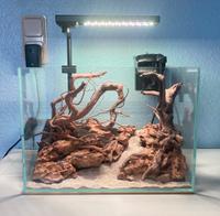 Aquarium ADA Mini M | Chihiros C II RGB | Aquael Versamax Mini Köln - Köln Merheim Vorschau