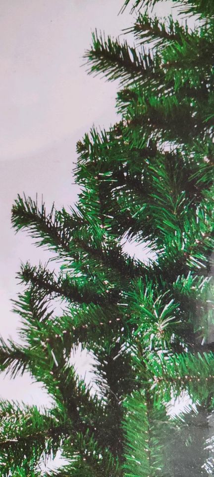 Künstlicher Weihnachtsbaum grün in Pirna