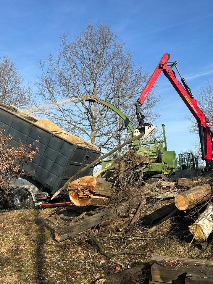 Holz hacken mit Pezzolato PTH900 in Miltach