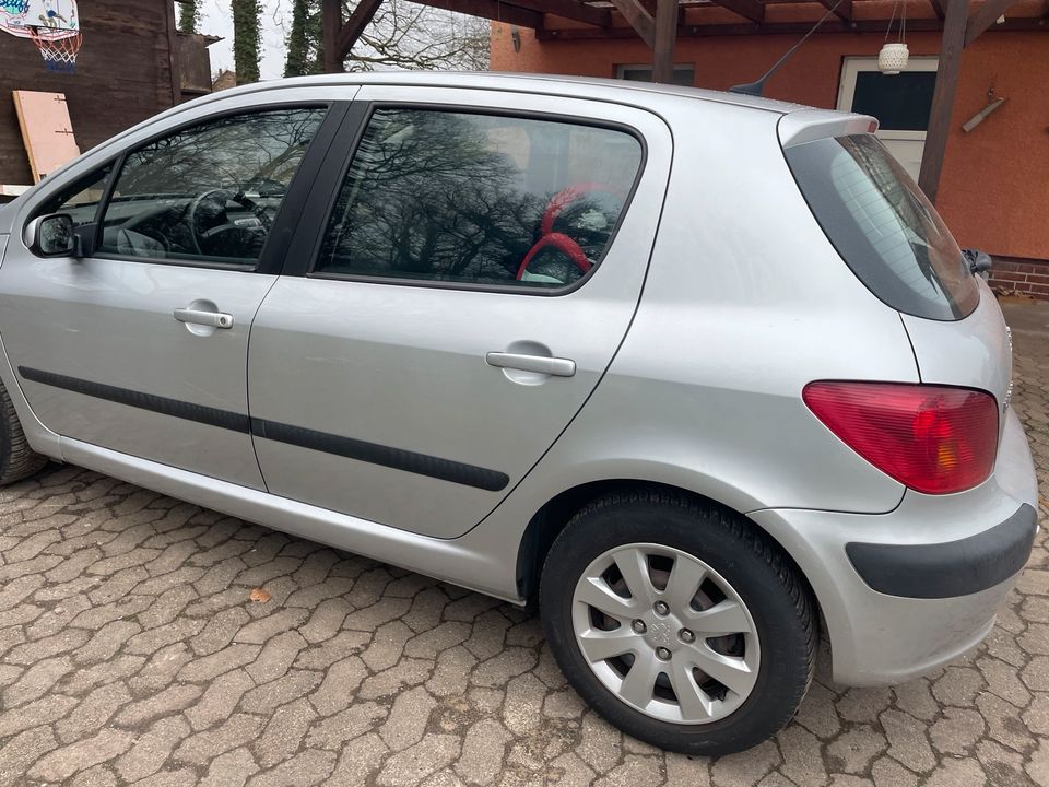 Peugeot 307 in Sachsenhagen