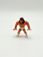 WWF/WWE Hasbro Wrestling Figur The Ultimate Warrior Baden-Württemberg - Filderstadt Vorschau