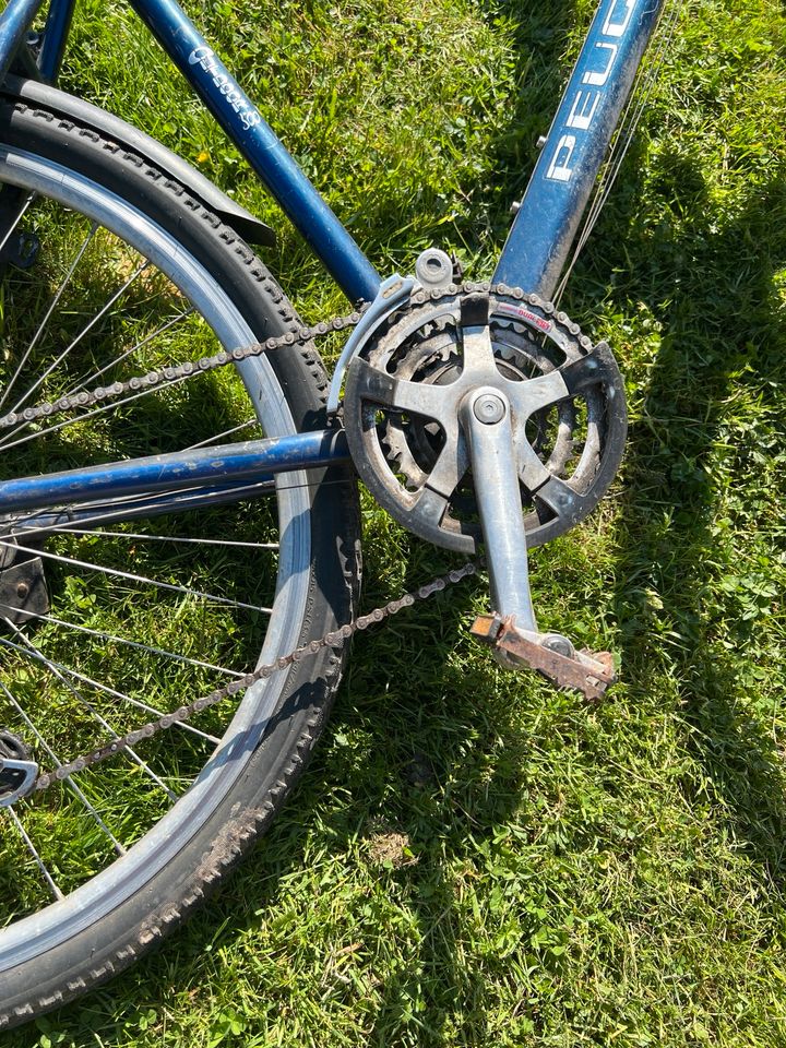 Peugeot Outdoor 500 Fahrrad in Osterhorn