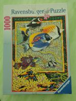Puzzle 1000 Teile Ravensburger Fische Niedersachsen - Südbrookmerland Vorschau