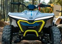 CFORCE EV110 CF-MOTO Elektro Quad E-Bike Sofort Verfügbar Rheinland-Pfalz - Anhausen Vorschau