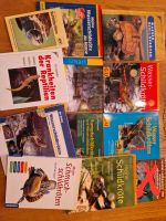 11 Schildkröten Bücher*Preis für alle* Nordrhein-Westfalen - Swisttal Vorschau
