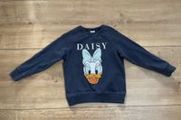 Next Sweatshirt Daisy, Gr 110 Nordrhein-Westfalen - Hattingen Vorschau