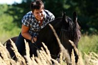 Osteopathie für Pferde (DIPO seit 2007) Nordrhein-Westfalen - Alsdorf Vorschau