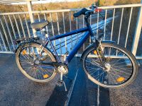 Fahrrad neue.  28 zoll   Rückfahrbrms  7 g Kiel - Kiel - Altstadt Vorschau