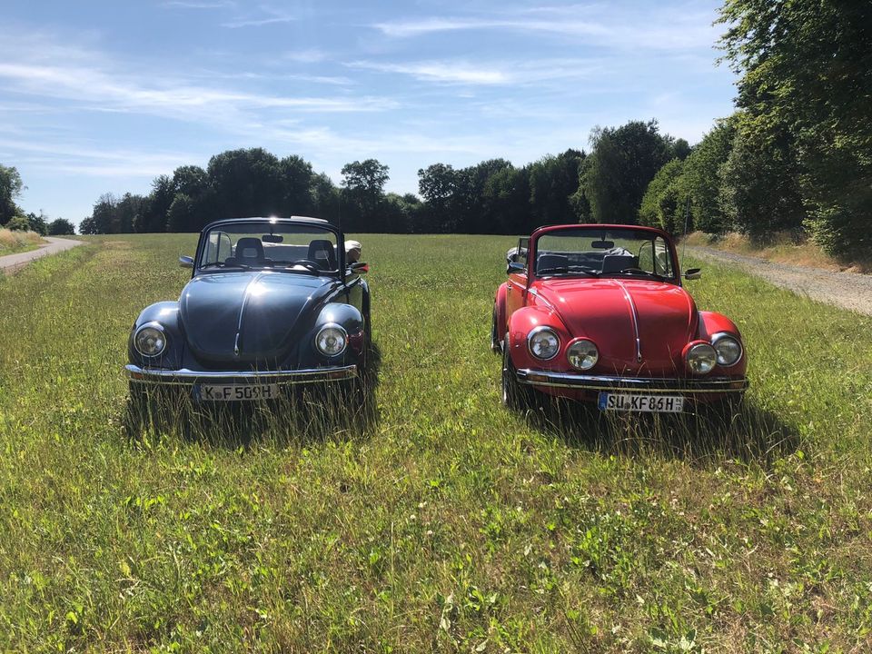 VW Käfer Cabrio Oldtimer Hochzeitsauto Brautauto mieten in Much