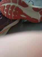 Laufschuhe asics Bayern - Elsenfeld Vorschau
