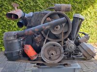 Steyr Puch Haflinger Motor Baden-Württemberg - Grenzach-Wyhlen Vorschau