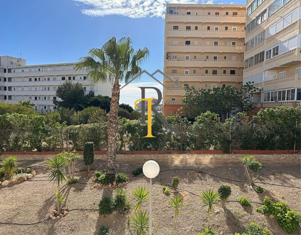 Kleine Wohnung in La Mata Torrevieja Spanien - Reserviert in Dortmund