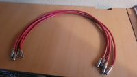 Chinch Kabel Sommer Polaris Nordrhein-Westfalen - Rheinbach Vorschau