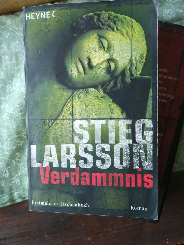 Thriller Stieg Larsson Trilogie Verblendung Verdammnis Vergebung in Leipzig