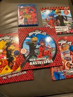 Miraculous Ladybug CatNoir Paket (alle Neu) Nordrhein-Westfalen - Vreden Vorschau