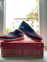 Puma Future 8 Match TT Pankow - Prenzlauer Berg Vorschau